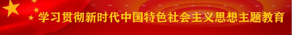學習貫徹習近平新時代中國特色社會主義思想主題教育